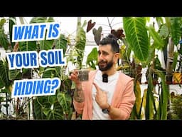 🌱 Plant Whispering... Understanding your houseplants and their care