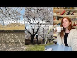 a spring solo trip to gyeongju, korea vlog 🌸 bookstores, cafes, vintage shops, and nature