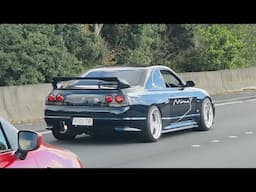 Auckland Highway Car Spotting May 2025, JDM Euro V8 Performance Cars