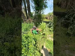 #villagelife #rabiaahmad #rabiaahmadvlogs #Shorts #Viral #minivlog