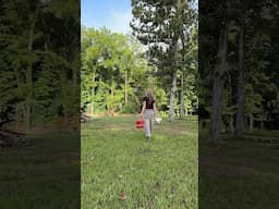 Spend a quiet morning with me doing homestead chores