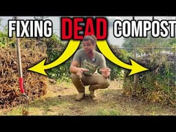 5 Reasons Your Hot Compost is Failing (And How to Save It)