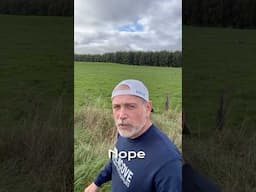 Farming in New Zealand #farming #ranchlife #ranching #farmlife #fieldays