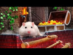 Hamster Adventure: Secrets of Ancient Egypt! 🐹✨| Hamsterious