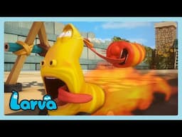 Going Too Fast | LARVA | Wildbrain Niños