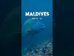 Maldives - Learn to Dive (July 19 - 24)