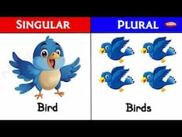 Learn Singular and Plural in English Grammar for Kids | Singular and Plural Nouns I Basic Learning
