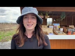 What I sell and charge at my farm stand | spring 2025 edition