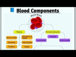 Blood Components