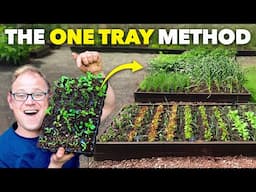 How I Grow an Entire Garden from One Tray