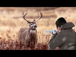 The most powerful deer hunting clips, Part 3