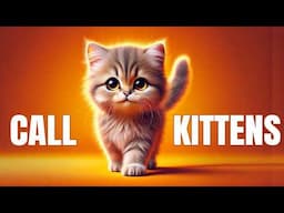 Sound to Call Kittens