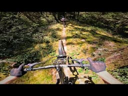 The Sunshine Coast has some Squamish slabs!