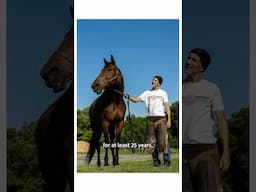 Skaters With Jobs Ep. 1: Arthur Lisi, Equine Farrier