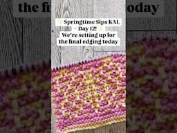 Day 12 – Final Transitions Before the Bind-Off!
