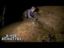 River Monsters Full Episode - Season 5, Episode 4 - Colombian Slasher