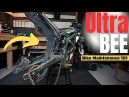 Step By Step Guide To Servicing Your Surron Ultra Bee