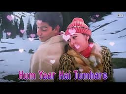 Hum Yaar Hai Tumhare | Full Audio | Alka Yagnik | Udit Narayan | Haan Maine Bhi Pyaar Kiya
