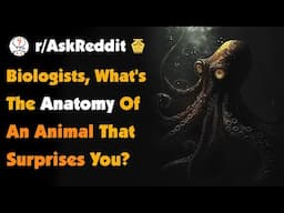 Biologists, What's The Anatomy Of An Animal That Surprises You The Most?