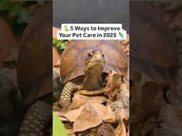 Level Up Your Pet Care! #reptileowner #petcare #animallover #reptilekeeper