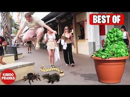 BEST PRANKS OF 2024 😂 FUNNIEST PRANKS OF THE YEAR (PART 01)