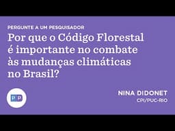 Por que o Código Florestal é importante no combate às mudanças climáticas no Brasil?