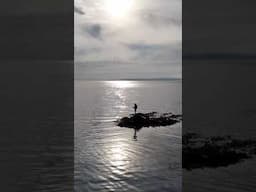 Paddleboard time, summer nights are coming.#paddleboarding #paddleboard
