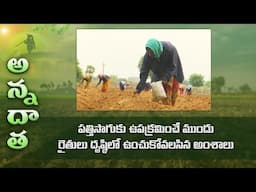 Pre season management of BT cotton to reduce pest attack | ETV Telugu