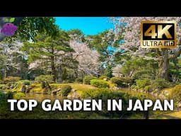 Japan’s Most Beautiful Garden | A Peaceful 4K Walk Through Kenroku-en in Spring