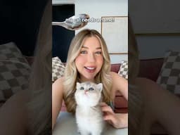 NAME MY KITTY!🤍🐾