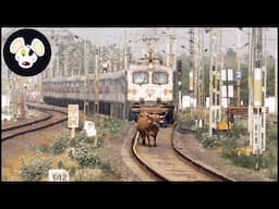 Trains encounters Invasive Species – 20 Terrifying Crash Moments You Won’t Believe #crash #animal