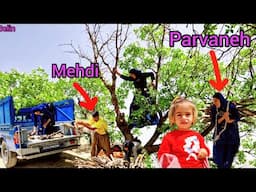 From Parvaneh and Mehdi's romantic moments in the mountains to collecting firewood.