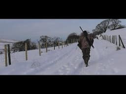 Winter Moorland Fox Control