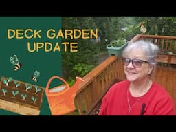 Deck Garden Update.