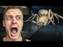 A MAN EATING SPIDER IS ON THE LOOSE