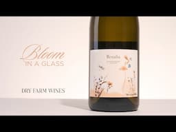 Floral Aromas in Wine: Imagination or Real?
