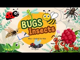 Bugs and Insects Vocabulary for kids | Insects name in English