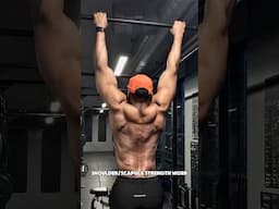 Shoulder & Scapula stability Exercises. #shoulder #mobility
