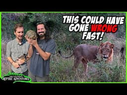 BAD IDEA CATCHING THESE REPTILES IN SOUTH AFRICA!