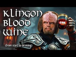 How to Make Klingon Blood Wine from Start to DRINKING! (This video took over TWO YEARS to make!)