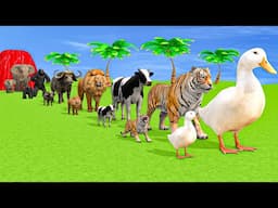 Long Slide Game With Cow Elephant Gorilla Hippopotamus Tiger - 3d Animal Game - Funny 3d Animals