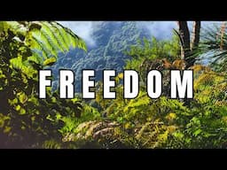Living off Grid and other questions answered