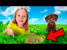 Nastya e o cãozinho encontram algo misterioso no campo! Nova história sobre Nastya para crianças