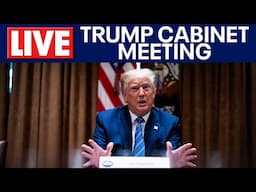 LIVE: President Donald Trump hosts Cabinet Meeting with Elon Musk, RFK Jr, Pete Hegseth and more