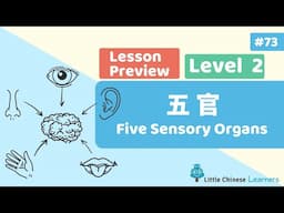 Chinese for Kids – Five Sensory Organs 五官 | Lesson B34 Preview | Little Chinese Learners