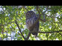Nature Connection: April 28