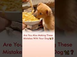 Are You Also Making These Mistakes With Your Dog 🦮❓