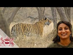 How Genetics Explain Tigers and Secure Their Future | Uma Ramakrishnan