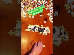 Eli Puzzle