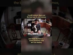 chill keyboard demo (feat. chihuahua)